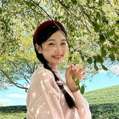 阁楼里的花