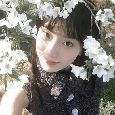 龙凤春光
